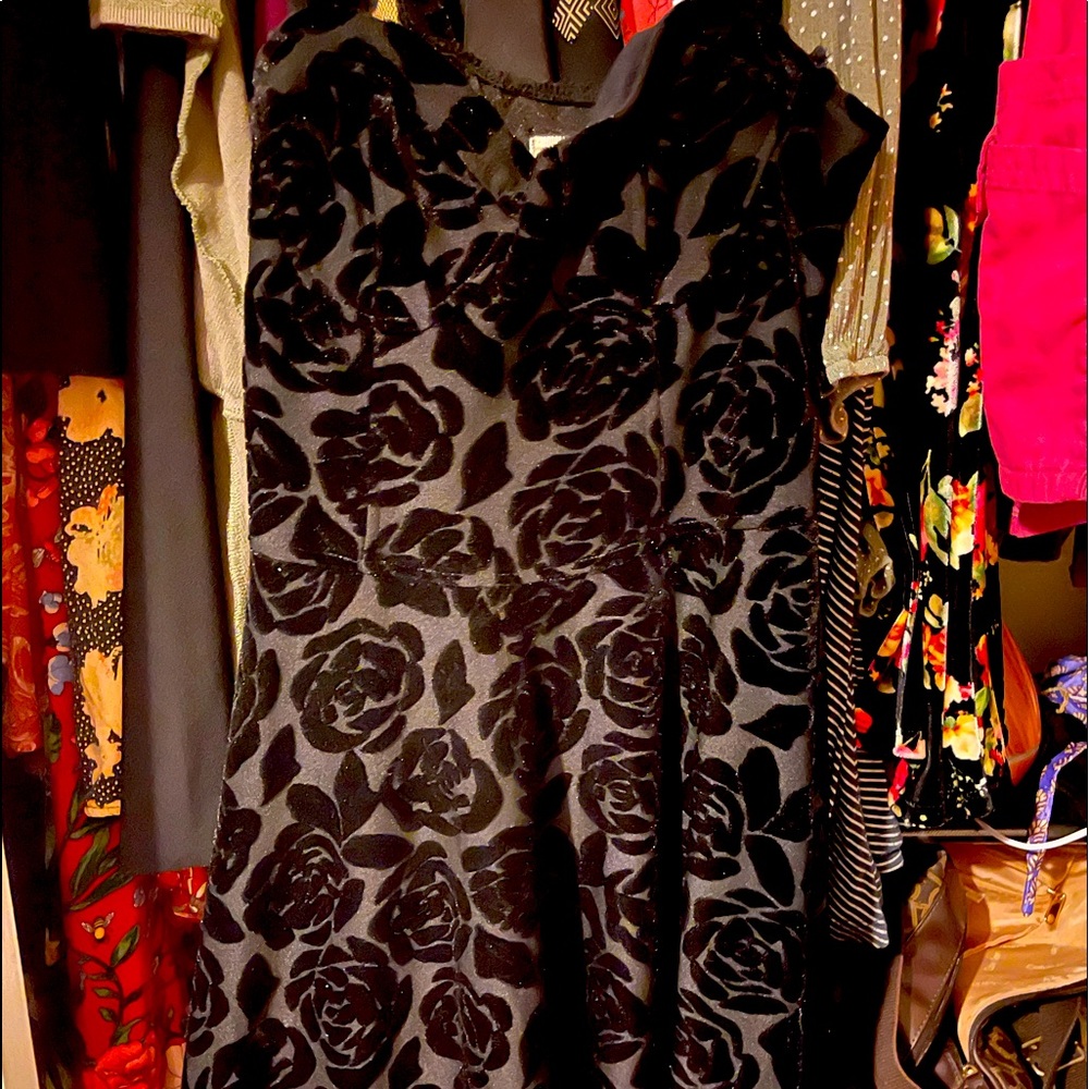 Abercrombie & Fitch black velvet rose patterned bustier dress.